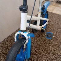دوچرخه|دوچرخه، اسکیت، اسکوتر|بدره, |دیوار