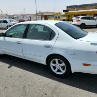 ماکسیما 91 بی رنگ