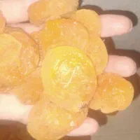 قیصی