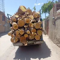 خرید چوب و ضایعات باغی و خرید چوب های سقفی خانه
