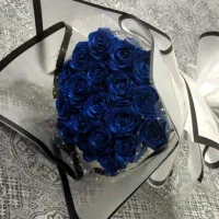 رز تو|گل مصنوعی|قم, نیروگاه|دیوار