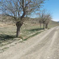زمین-جهت-احداث-باغ-دستجرد