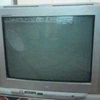 تلویزیون