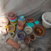 گلدان پلاستیکی