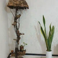 بار چراغ خواب