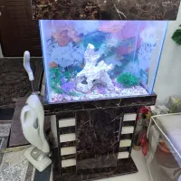 آکواریوم