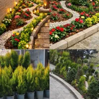 خدمات باغبانی گلکاری هرس کاری سم پاشی کوددهی