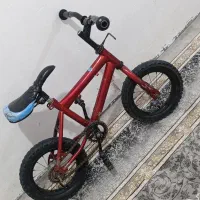 دوچرخه دوازده