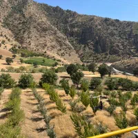 تور همدان و غار علیصدر