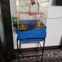 قفس پرنده با پایه چرخ دار