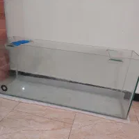 اکواریوم سالم