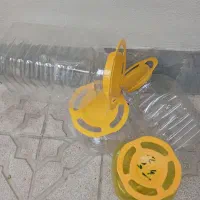 دبه زیتون وسیر ترشی
