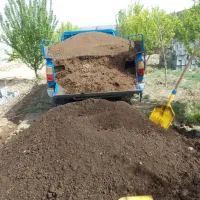 کودحیوانی پوسیده بدونه کرایه تحویل درمحل