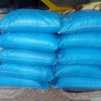 کودریز سفید|خدمات باغبانی و درختکاری|گرگان, |دیوار