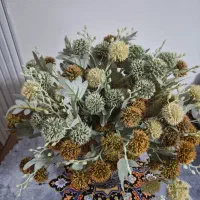گل شکر تیغال