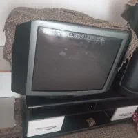 تلوزیون