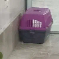 باکس و پارک بازی سک پامر