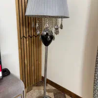اباژور ایستاده