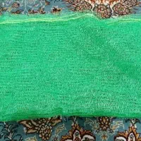 تور خرما|خدمات باغبانی و درختکاری|ایرانشهر, |دیوار