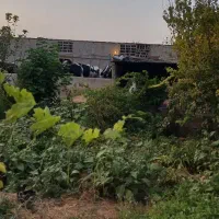 کار در دامداری