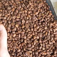 رست و فروش دان قهوه / لیست قیمت