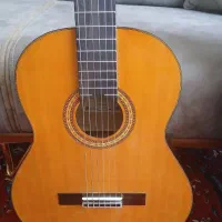 گیتار Arya Ak-25n