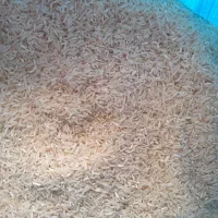 برنج محلی شهریار چرام