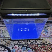 آکواریوم نو کمری