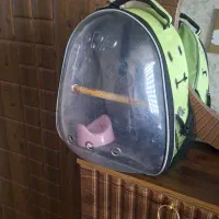 کیف حمل پرنده و حیوانات گربه سک