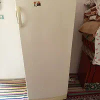 یخچال ۱۲فوت