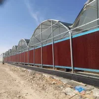 مرغداری دامداری گلخانه