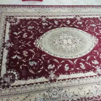 فرش|فرش|لنگرود, |دیوار