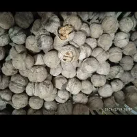 گردو همدان|خوردنی و آشامیدنی|قرق, |دیوار