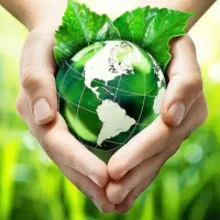 خط رند همراه دائمی