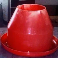 دانه خوری جوجه
