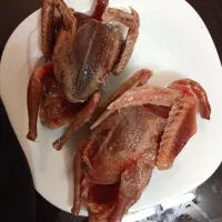 کبوتر اورگانیک