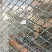اجاره
