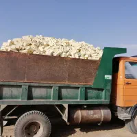 خاور اجر سه گل وگری خاک اجر وماسه
