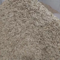 تخمه کدو گوشتی