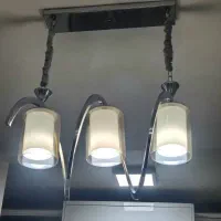 لوسترفنری