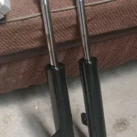یک جفت کمک جلو زانتیا