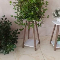 گل طبیعی|گل و گیاه طبیعی|اصفهان, جلوان|دیوار