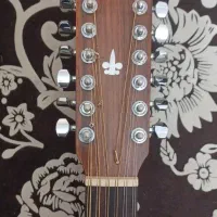 گیتار ۱۲ سیم cort و ۶ سیم zinn