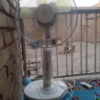 پنکه