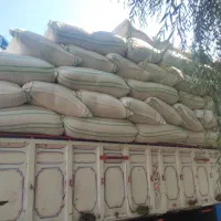کاه نرم گندم گونی شده
