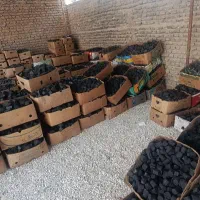 عمده ذغال و براز