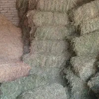 خرید و فروش یونجه