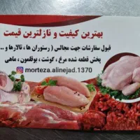 استخدام ویزیتورخانم