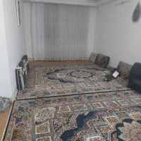 فرش ۱۲ متری ۷۰۰ شانه