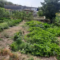 باغچه-1000متری-تهاتر-باخودرو